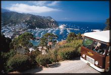 Avalon Scenic Tour