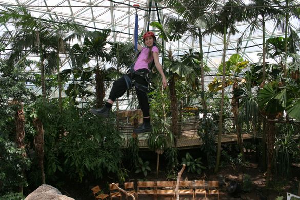 New Cairns ZOOm Ropes Adventure Course to open in July