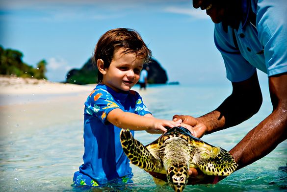 NavigateOceania - Vomo Island Resort Turtle Club