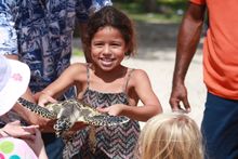 NavigateOceania - Vomo Island Turtle Release