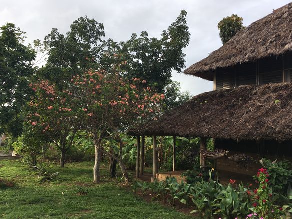 Caiman House Caiman House