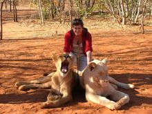 Abbie Leraar from the UK with Tshungu and Simba