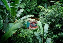 Hidden hot tub at Nayara Hotel, Spa & Gardens