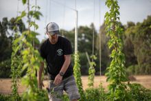 Wild Hop Brewing Company