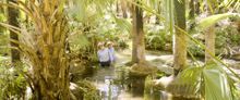 Zeebedee Springs El Questro, Kimberley WA