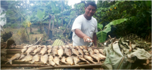 Community tourism in Central America 