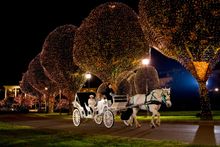 Christmas Horse and Carriage Rides in Nashville during 