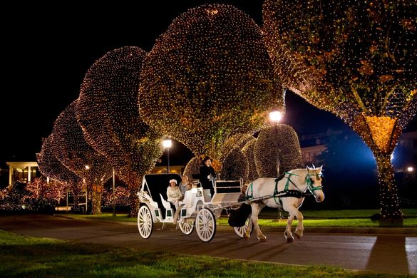 Christmas Horse and Carriage Rides in Nashville during 