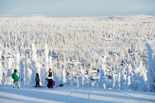 Ruka Silver Forest