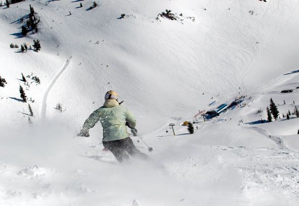 Mecca Travel Snowbird