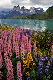 explora Patagonia