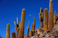 explora Atacama
