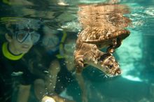 Discovery Cove