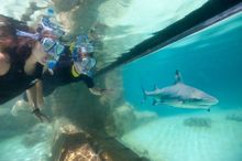 Discovery Cove® Orlando Freshwater