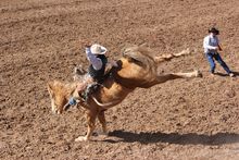 Tucson Rodeo 