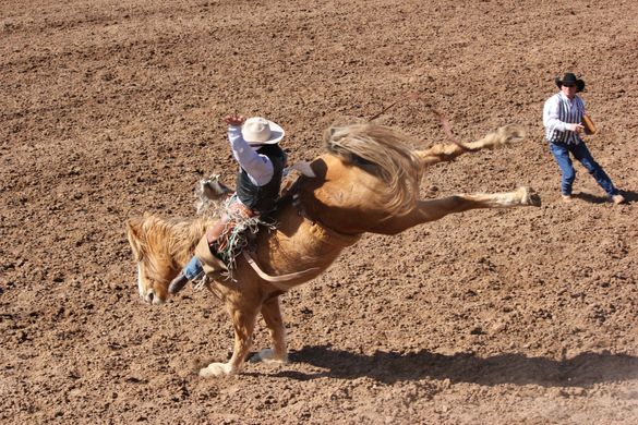 Tucson Rodeo 