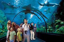 Loro Park