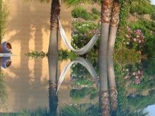 Unwind In A DDG Retreat Hammock