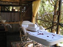 Organic Products Are Offered At DDG's Woodland Spa