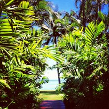 Passage to Paradise