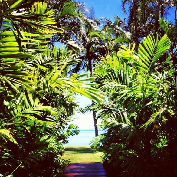 Passage to Paradise
