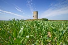 Pleinmont Observation Tower