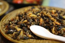 Fried Bees, China