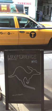 Luxperience NYC