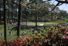 Tee For All - Georgia Tourism Picks Five Must-Play Public Golf Courses