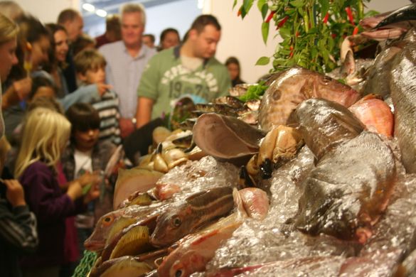 Newlyn Fish Festival