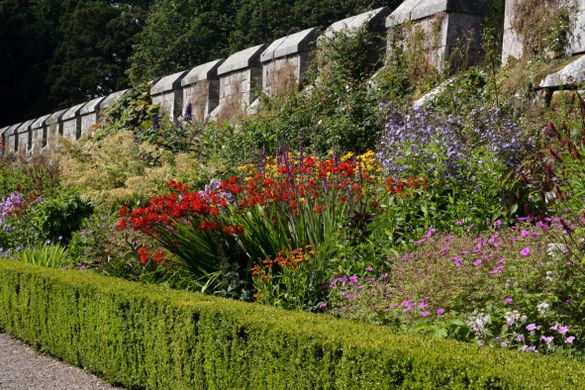 Northumberland’s Glorious Gardens
