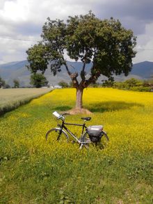Bike in Umbria