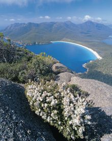 Wineglass Bay, Freycinet Peninsula, Tasmania