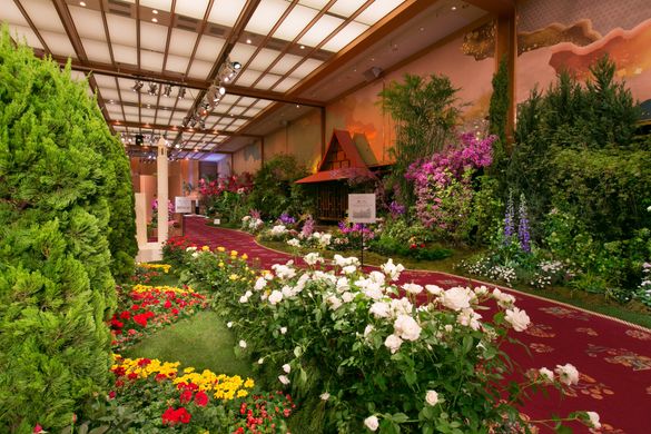 World Gardening Fair 