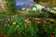 World Gardening Fair 