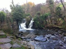 Penllergare Valley Woods