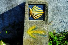 Shell-Arrow-CaminoWays