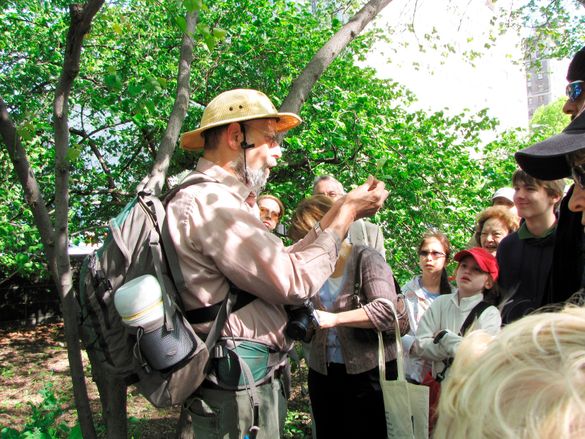 Wildman - Leading Tour 