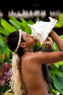 Conch Shell