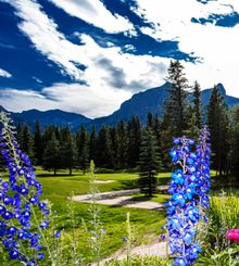Canmore Golf & Curling Club, one of 7 courses within Canadian Rockies Golf