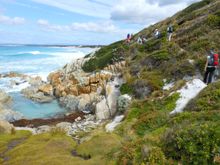 Walk Bay of Fires Tasmania