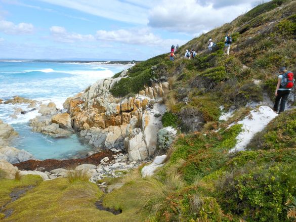 Walk Bay of Fires Tasmania