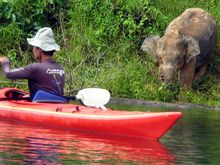  Local guide available on AdventureHoney taking a group on a Khao Sok kayaking mission