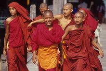 Burmese Monks