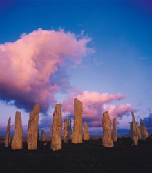 See wild Scotland with Aurora Expeditions