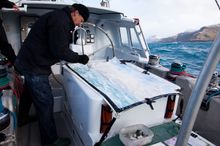 Artist Bruce Pearson, Antarctica