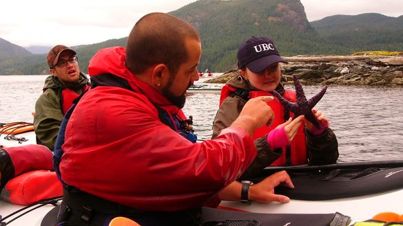 Exploring Wildlife during Wildcoast Family Kayak Vacation in Discovery Islands