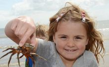 Pembrokeshire Fish Week Festival