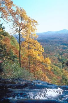 Amicalola Falls State Park