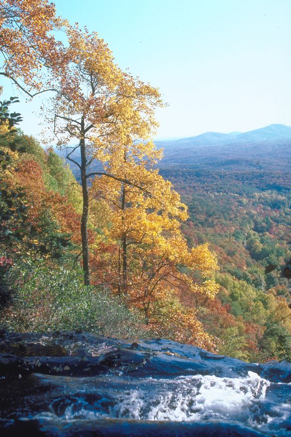 Amicalola Falls State Park